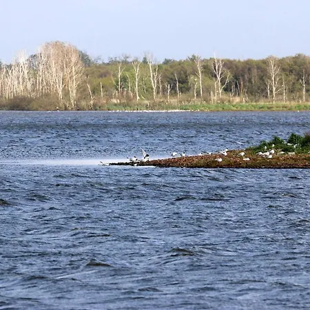6 Person In Henne-by Traum Dom wakacyjny Henne Strand