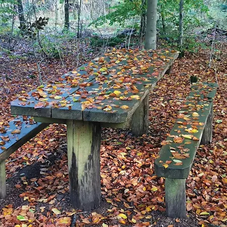 Dom wakacyjny 6 Person In Henne-by Traum Henne Strand