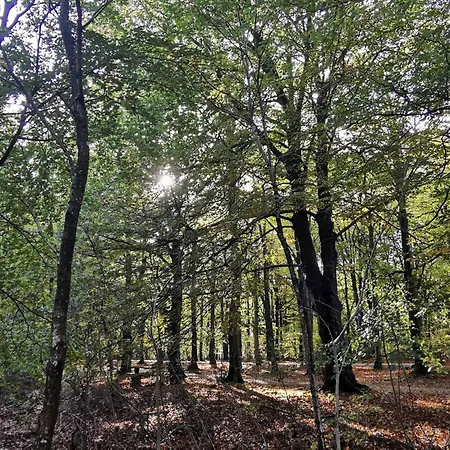 6 Person In Henne-by Traum *