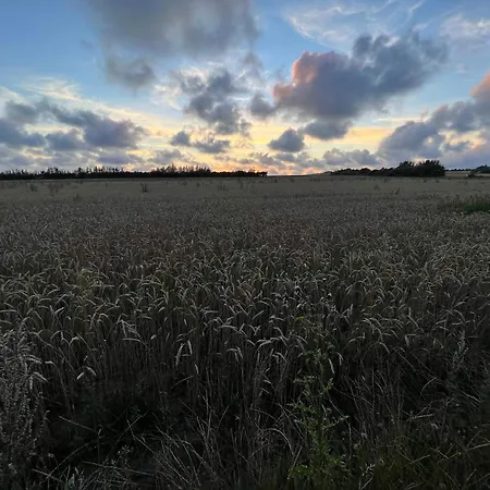 Dom wakacyjny 6 Person In Henne-by Traum *