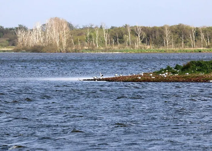 6 Person In Henne-by Traum Dom wakacyjny Henne Strand